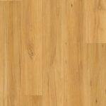 8016 Blackbutt