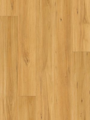 8016 Blackbutt