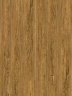 8018 Spotted Gum