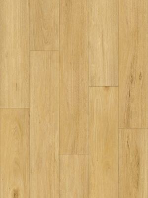 FD-112 Blackbutt