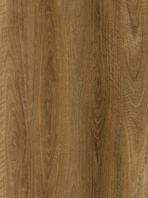 FD-114 Spotted Gum